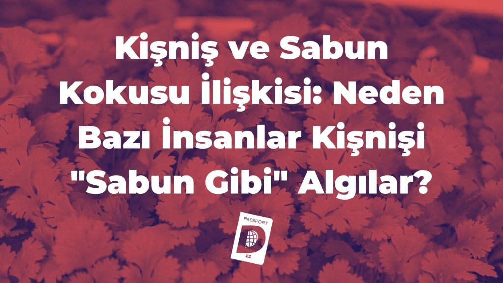 Kişniş ve Sabun Kokusu İlişkisi: Neden Bazı İnsanlar Kişnişi “Sabun Gibi” Algılar?