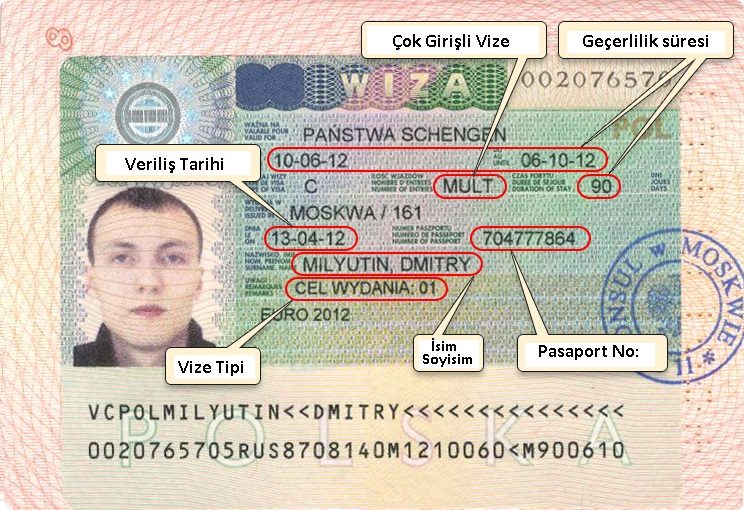 Avrupa’da Tren Bileti Ne Zaman Alınmalı? Erken Almak Gerçekten Ucuz mu?