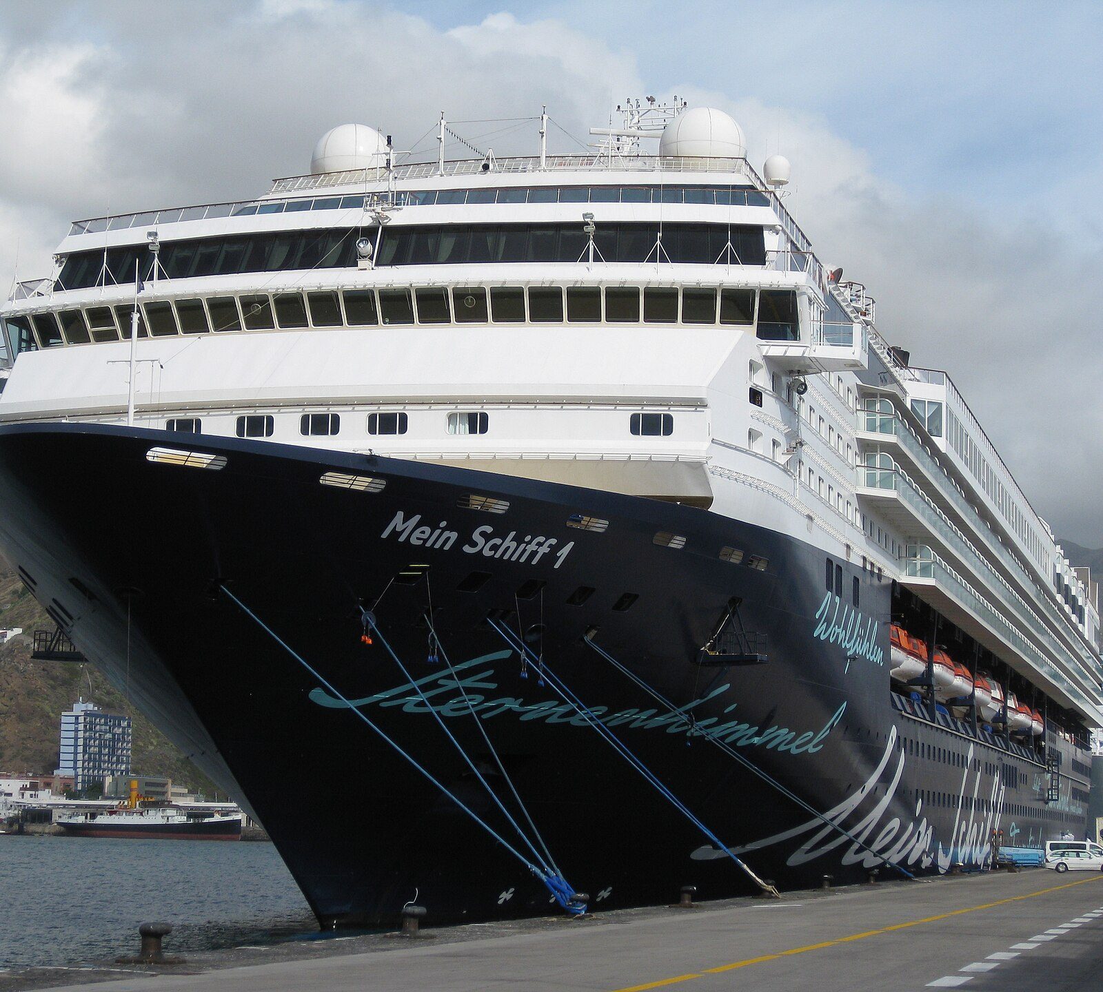 Cruise Turları Hakkında Bilmeniz Gereken Her Şey: Detaylar, İpuçları ve Dikkat Edilmesi Gerekenler