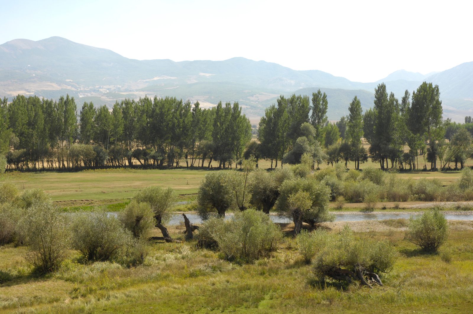 Firik Dede: Dersim'in Sessizliğe Bürünen Bilgesi
