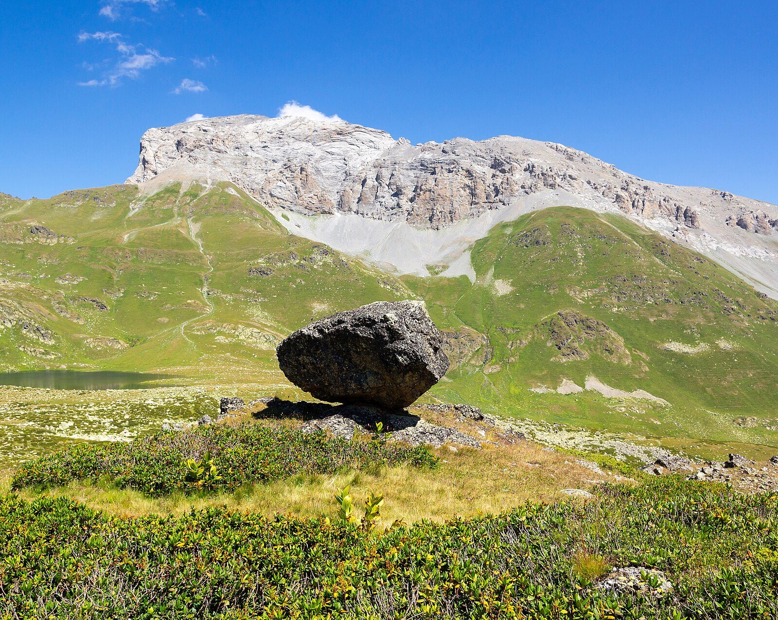 Kaukasiendeutsche: Kafkasya Almanları – Göçün İzinde Kültürel Yolculuk