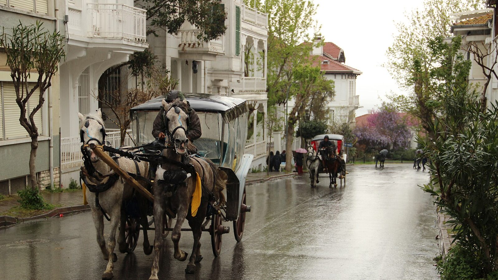 İstanbul'un Onuncu Adası: 1010 Depreminde Denize Gömülen Vordonisi