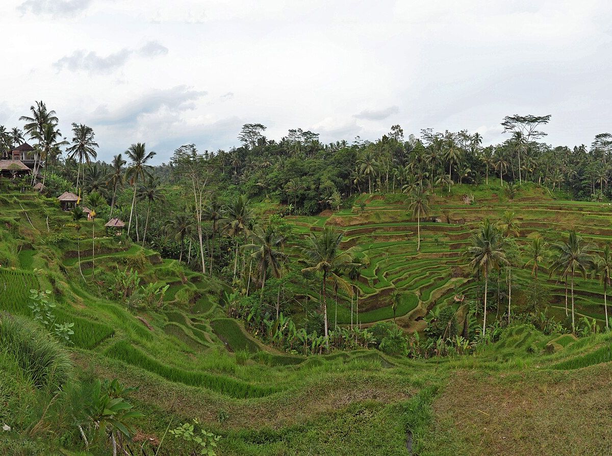 Bali Pahalı mı? Ubud, Canggu ve Uluwatu İçin Bütçe Rehberi