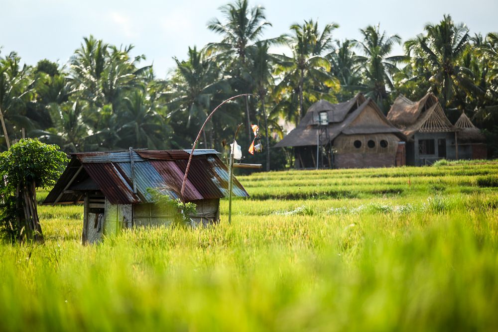 Bali Pahalı mı? Ubud, Canggu ve Uluwatu İçin Bütçe Rehberi