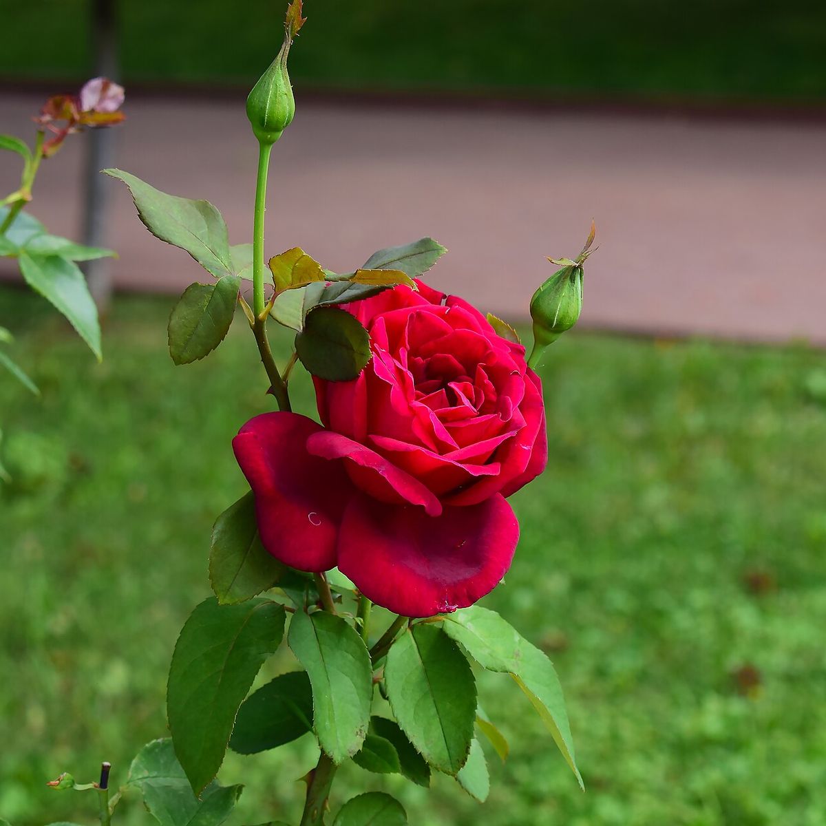 Sevgililer Günü Tatili Nereye Gidilir? Romantik Kaçamak Rehb