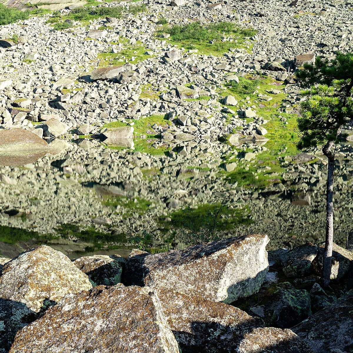 Şor Türkleri: Güney Sibirya'nın Dağlık Şorya Halkı