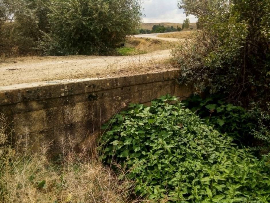 Yozgat Gezilecek Yerler: Çamlık Milli Parkı, Kerkenes ve Tar