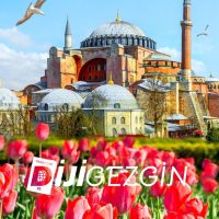 istanbul cicek haritasi