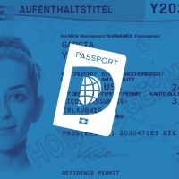 Almanyaya Isveren Davetiyesi ile Yerlesim Rehberi Mavi Kart ile