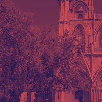 Kibrisin 723 Yillik En Yasli Agaci Cumbez Agaci