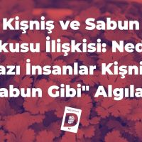 Kisnis ve Sabun Kokusu Iliskisi Neden Bazi Insanlar Kisnisi 22Sabun Gibi22 Algilar